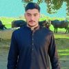 ranabilal1203