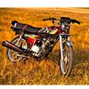 syed_king125
