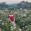 nhung8640