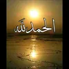 user8445769570133