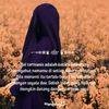 bungsu120809