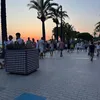 amelia._1110