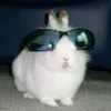 sweetystuff