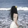 z521336
