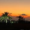 myar.hosny1