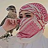 hanad3900