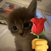 zenax_yeux