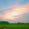 arman_oreg