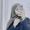 ah_nh313