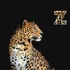 g_gg2006
