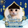 pp.kucing.ramadha7425