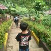 mas.hadit