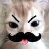 yaur_4.4