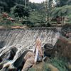 luxvia_anggraini