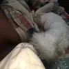 ntugu_06