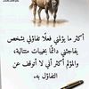 user50086112506333