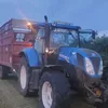 fionnanlarkin