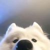 _fqsy