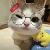 usernamecute_quachoi