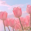 t.anh8226