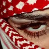 shene_576