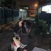 kecupangg23