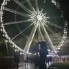 eli_berni11