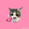 sukastrawberyy7