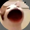 triu.hi.vinacon3
