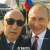 arslan_dr8