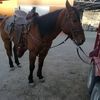 ricardo.montes.ca
