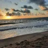 kieuanh_027