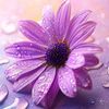 user8600686861344