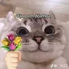 lnbn.cute.123
