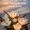 user407161827229300