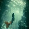 mermaid8162