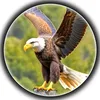 user904344519987