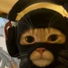 why.u.looking.at.my.pfp1