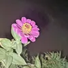 1llo7_