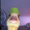 patryofficial