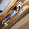 rremi_4