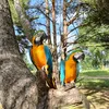 parrotsadventures
