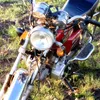 mansurkaz10