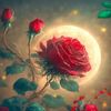beautiful_life_2026