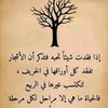 user86853347528188