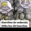 user4441630348714