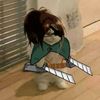 ivan.afton1
