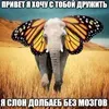 galbani_123