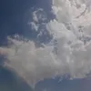 mlnaa098