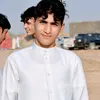 hsaaen11